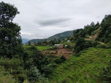 NP 52 Chhittegaun1